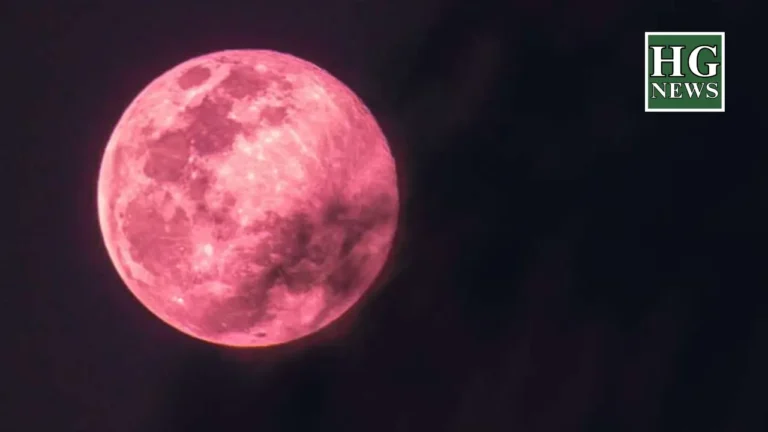 April 2024 full moon called |pink moon| for spring flowers