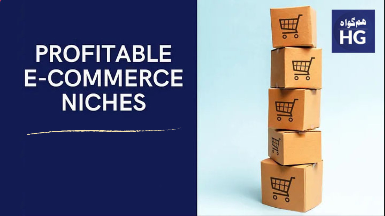 Discovering Best Profitable Ecommerce Niches